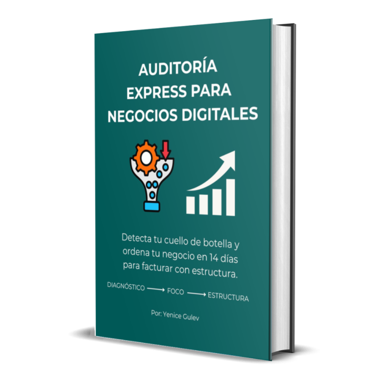 Ebook de auditoria de negocio digital por Yenice Gulev
