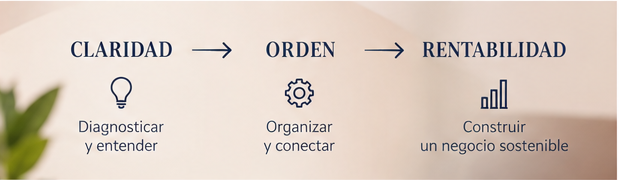 Claridad, orden y rentabilidad en un negocio digital